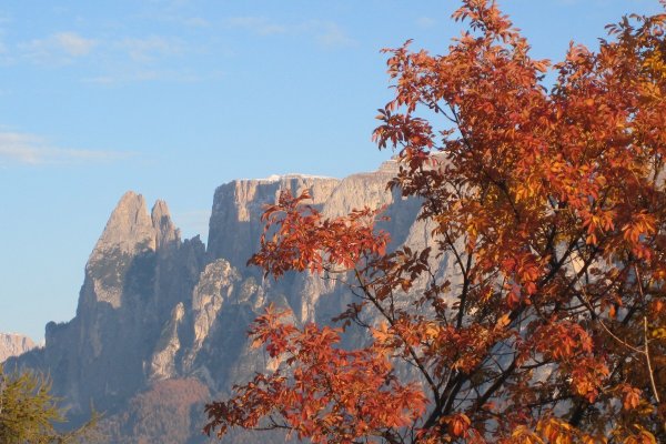 Kastanienzeit Angebot