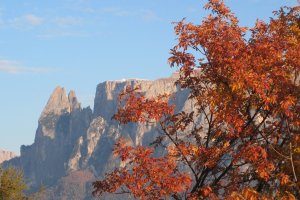 Kastanienzeit Angebot 